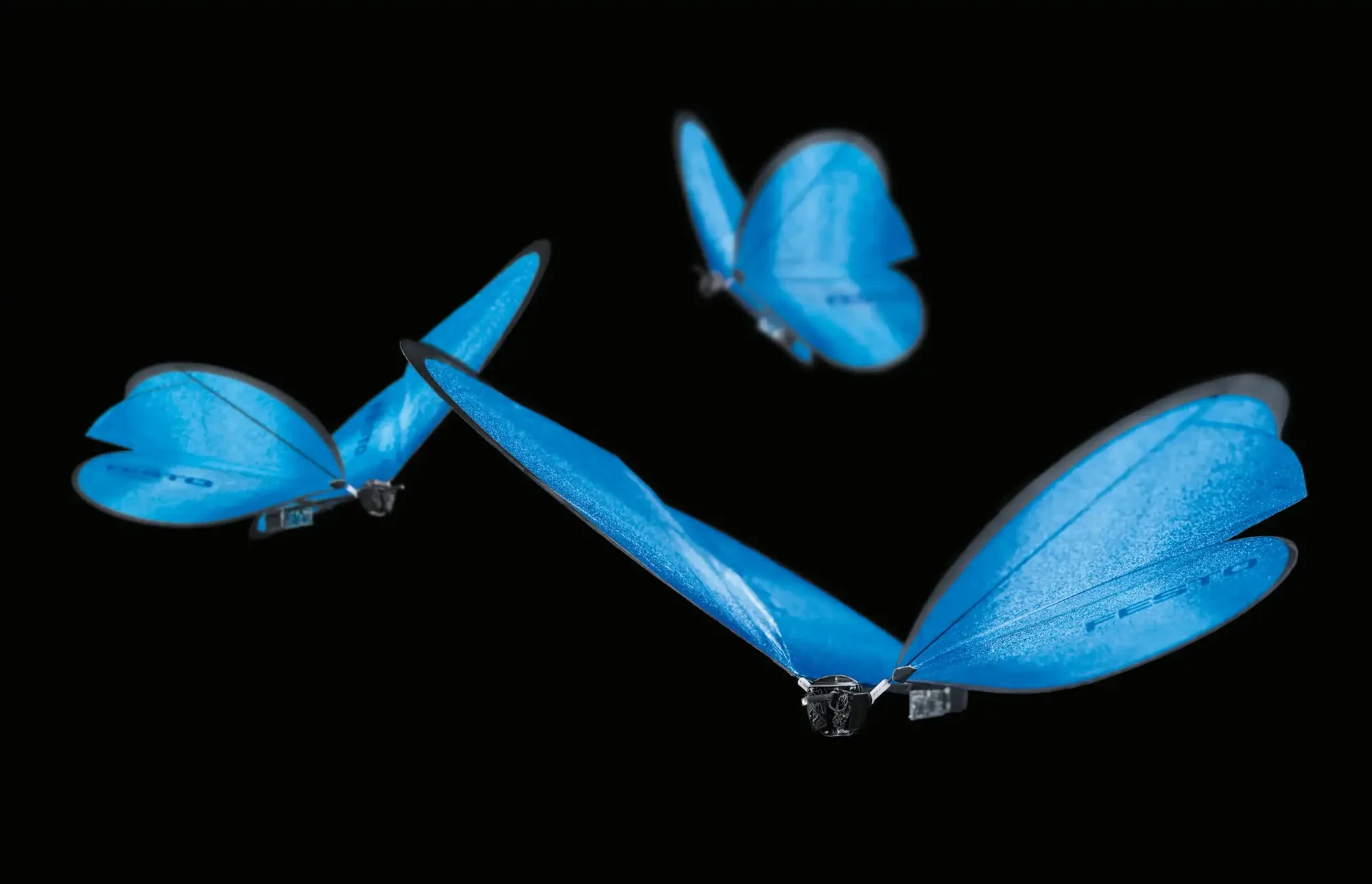 Robotic butterflies in flight